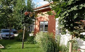Promedicum Panzio