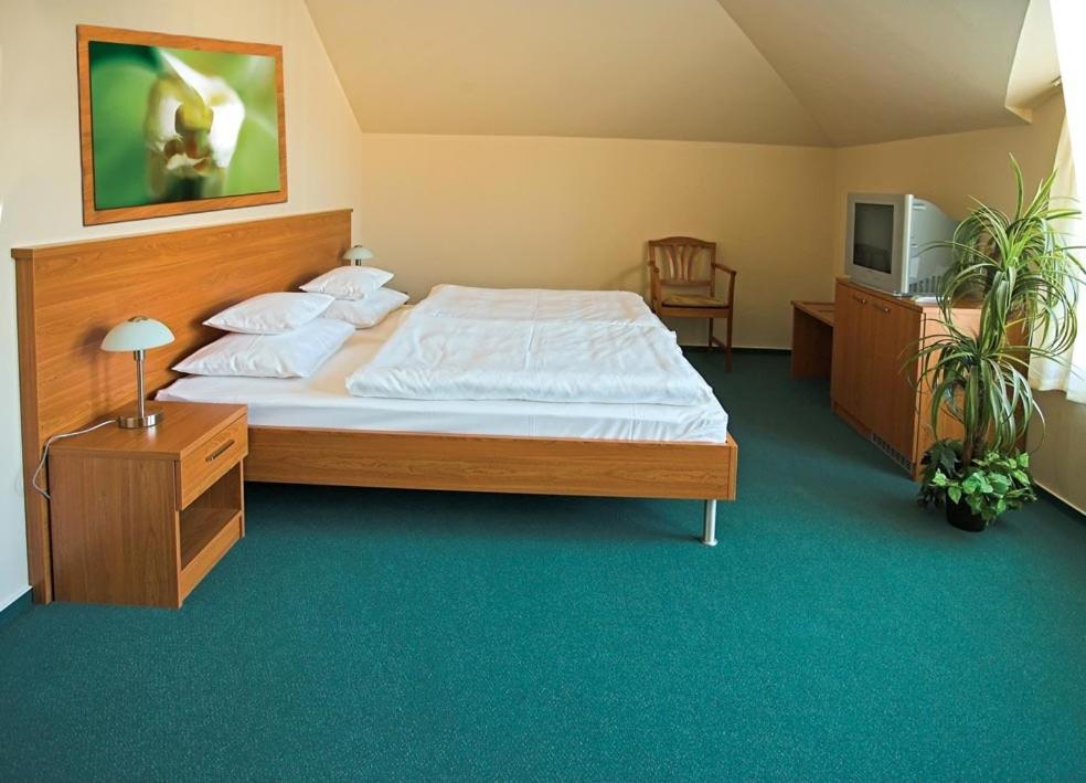 Promedicum Panzio Hotel Veszprem Room photo