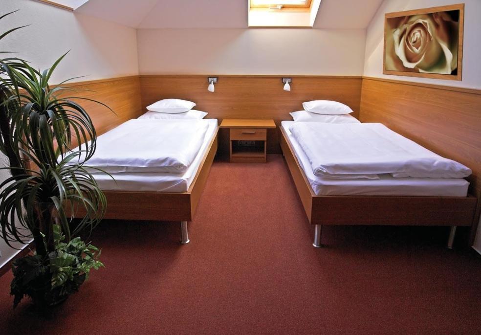 Promedicum Panzio Hotel Veszprem Room photo